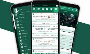 Explore the Exciting World of BetWinner Online Gambling Platform