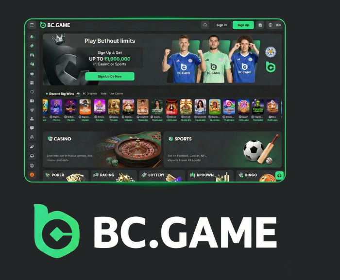 BC.Game App A Comprehensive Guide for Players -382177526